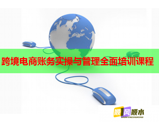 跨境电商账务实操与管理全面培训课程  第1张