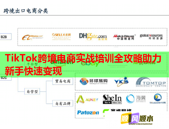 TikTok跨境电商实战培训全攻略助力新手快速变现 第1张 TikTok跨境电商实战培训全攻略助力新手快速变现 第1张