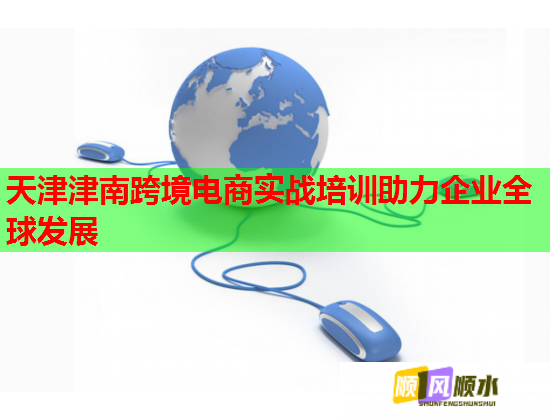 天津津南跨境电商实战培训助力企业全球发展 第2张 天津津南跨境电商实战培训助力企业全球发展 第2张