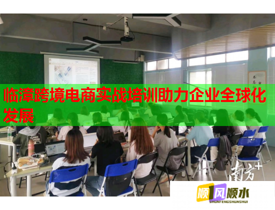 临漳跨境电商实战培训助力企业全球化发展 第3张 临漳跨境电商实战培训助力企业全球化发展 第3张